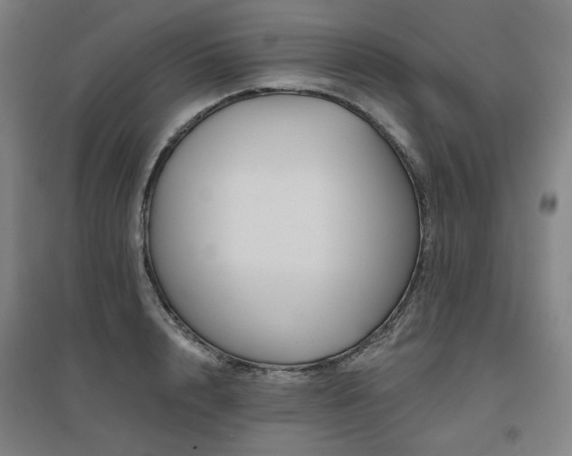 X0000095900848200801111207