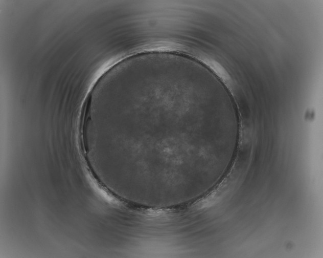 X0000095900850200801111207