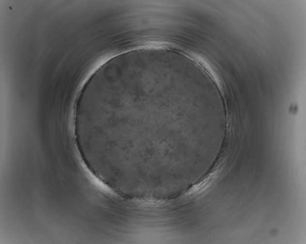 X0000095900851200801111208