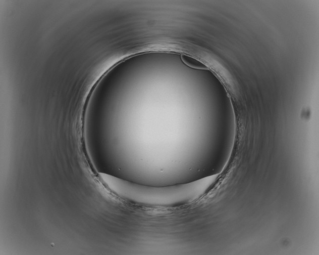 X0000095900852200801111208