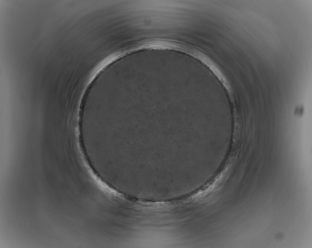 X0000095900853200801111208