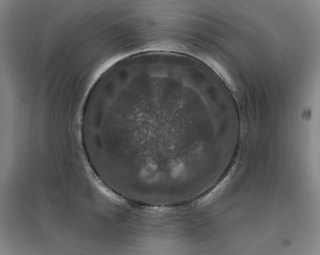 X0000095900854200801111208