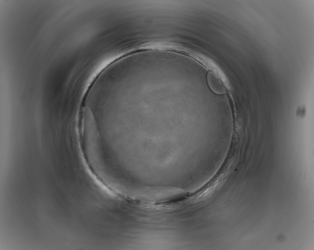 X0000095900855200801111208