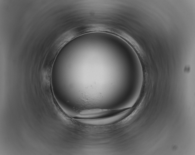 X0000095900857200801111208