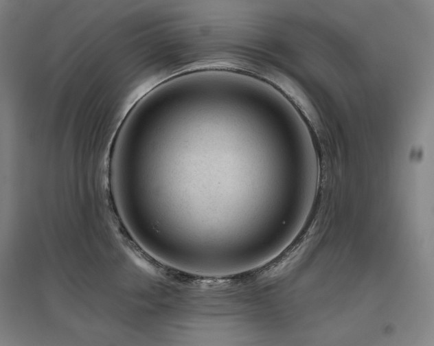 X0000095900858200801111208