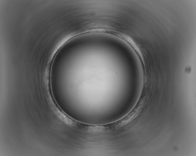 X0000095900859200801111208