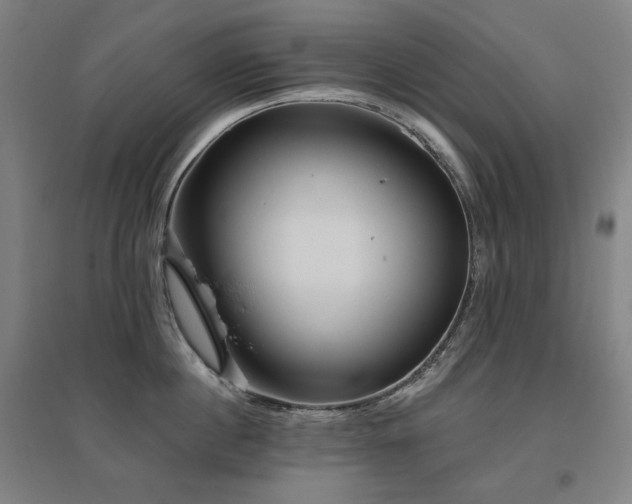 X0000095900860200801111208