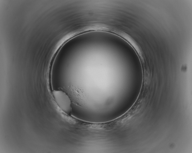 X0000095900861200801111208
