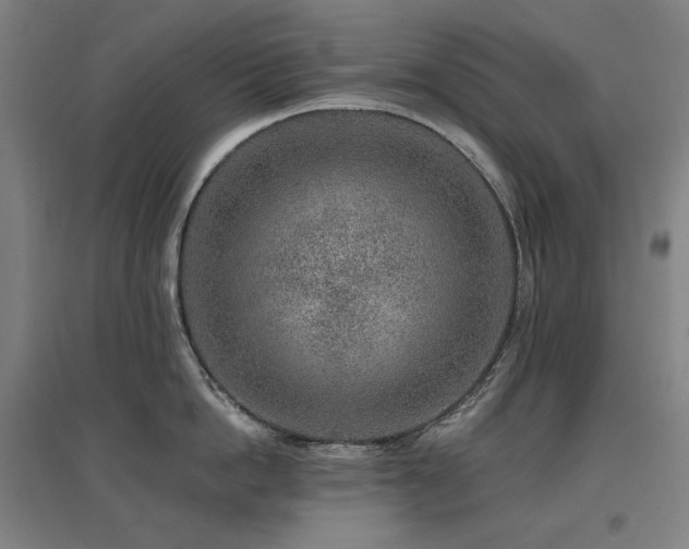 X0000095900862200801111208