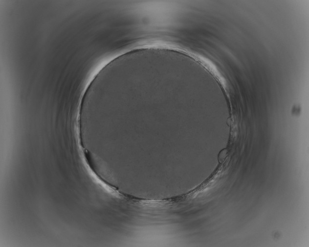 X0000095900863200801111208