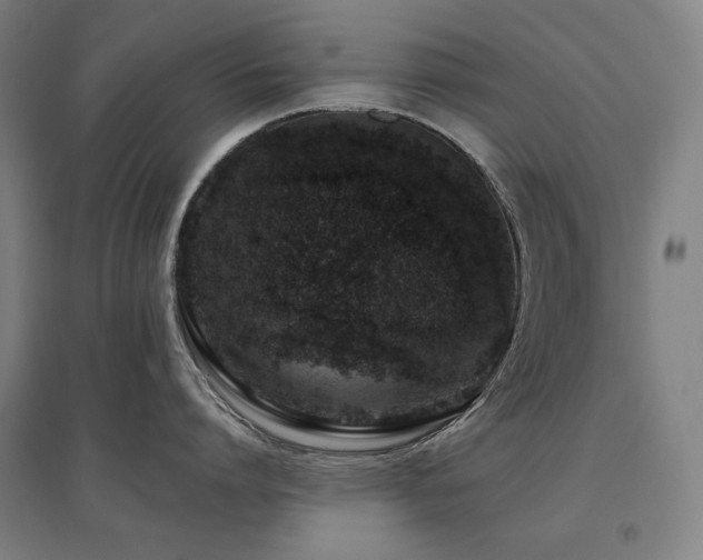 X0000095900864200801111208