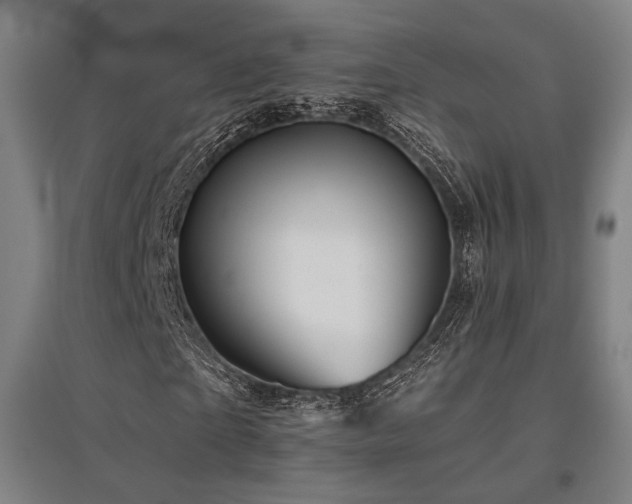 X0000095900865200801111207