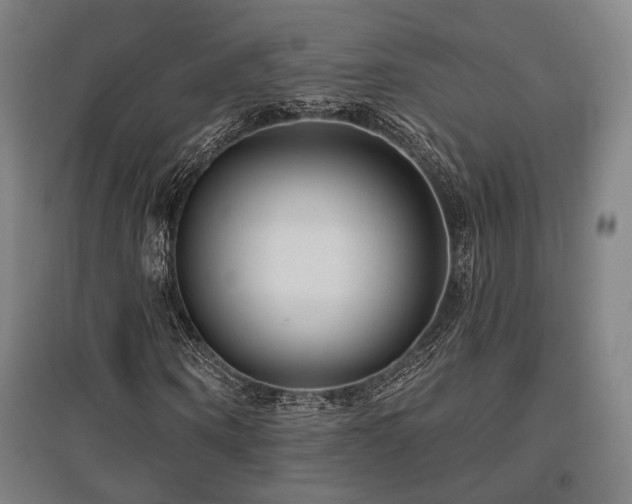 X0000095900866200801111207