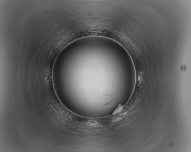 X0000095900867200801111207