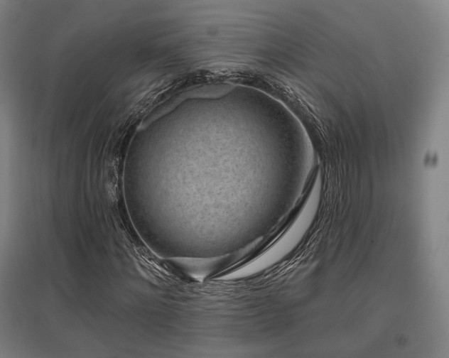 X0000095900868200801111207