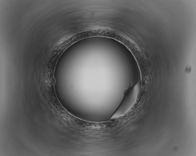 X0000095900869200801111207