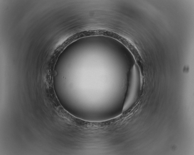X0000095900871200801111207
