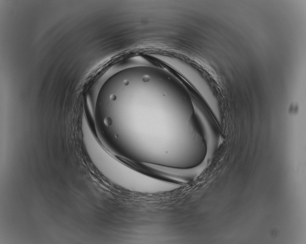 X0000095900872200801111207