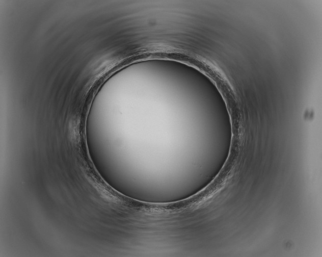 X0000095900873200801111207