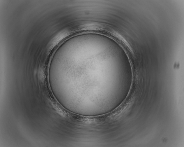 X0000095900874200801111207