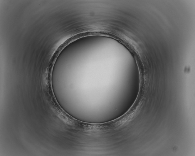 X0000095900875200801111207