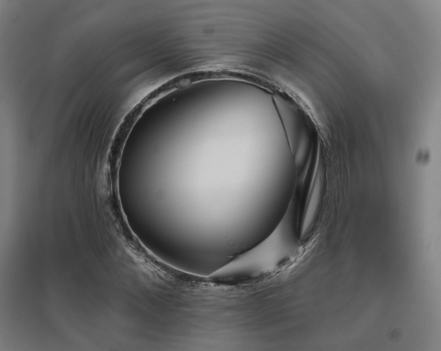 X0000095900876200801111207