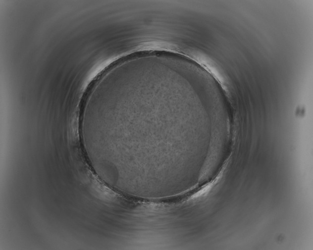 X0000095900877200801111207