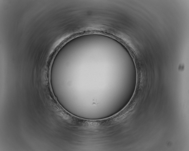 X0000095900878200801111207