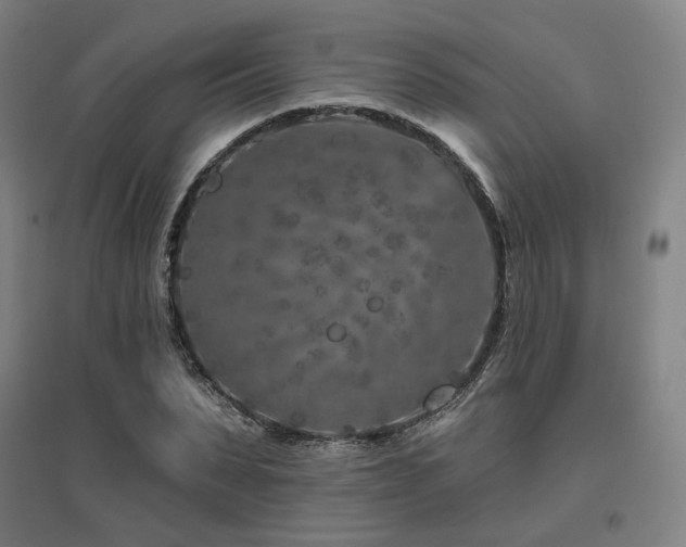 X0000095900879200801111207