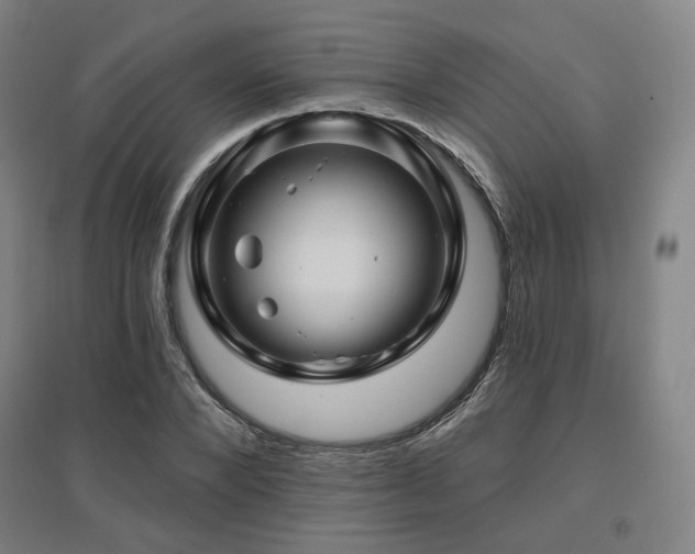 X0000095900880200801111207