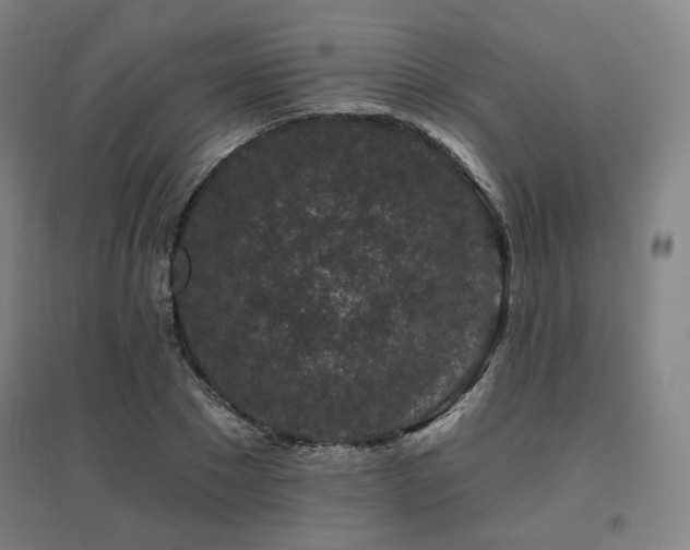 X0000095900881200801111207