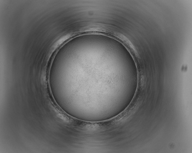 X0000095900882200801111207