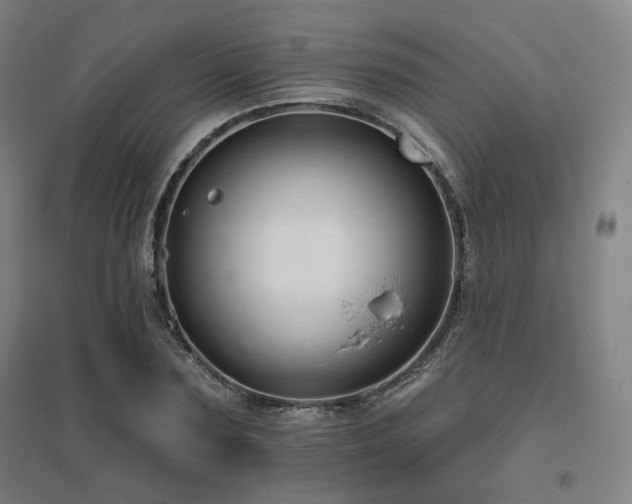 X0000095900883200801111207