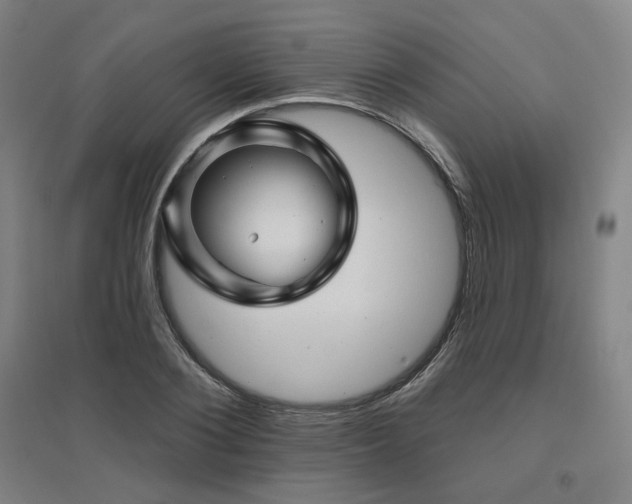 X0000095900884200801111207