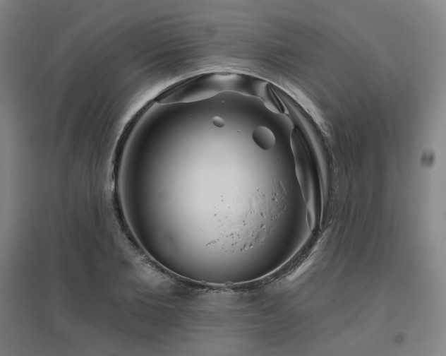 X0000095900885200801111207