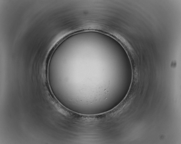 X0000095900886200801111207