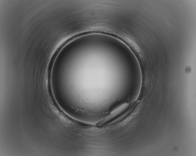 X0000095900888200801111207