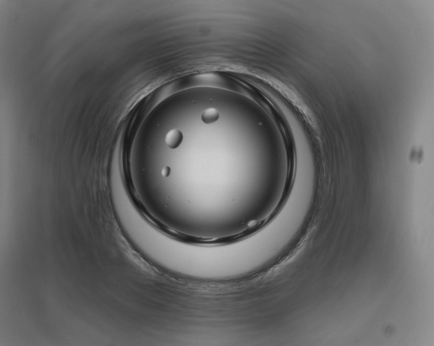 X0000095900889200801111207