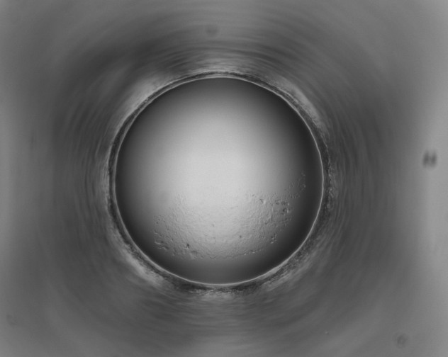 X0000095900890200801111207