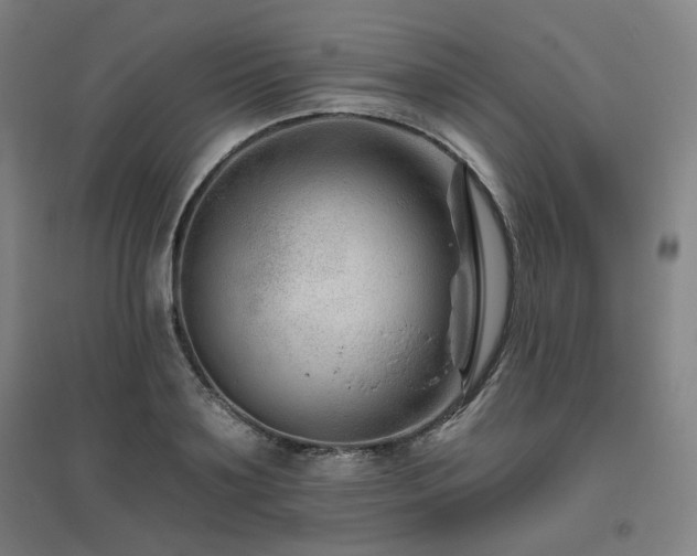 X0000095900891200801111207