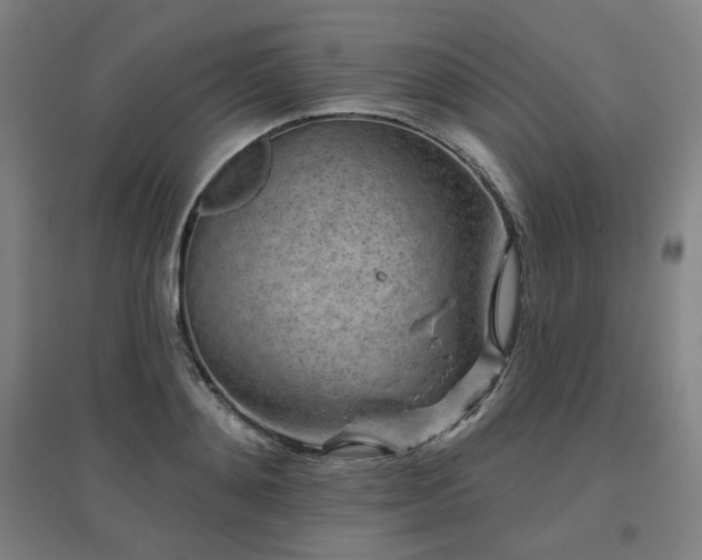 X0000095900892200801111206