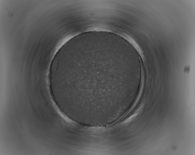 X0000095900893200801111206