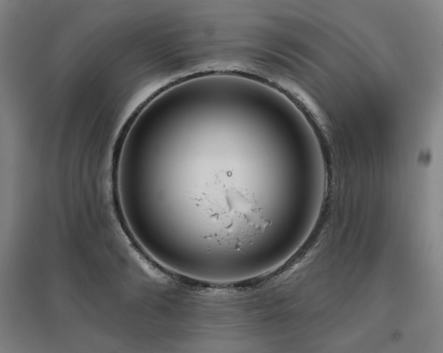 X0000095900894200801111206