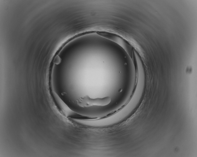 X0000095900896200801111206