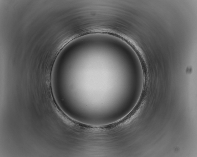 X0000095900897200801111206