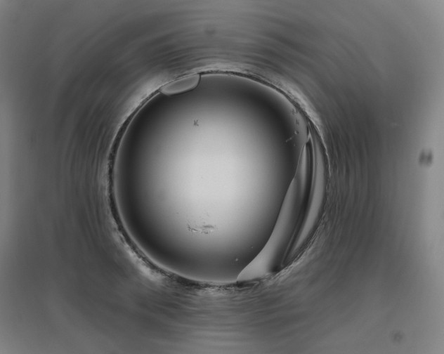 X0000095900898200801111206