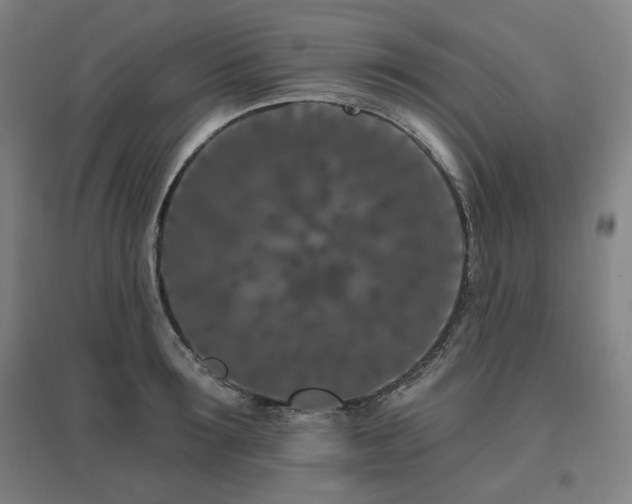 X0000095900899200801111206