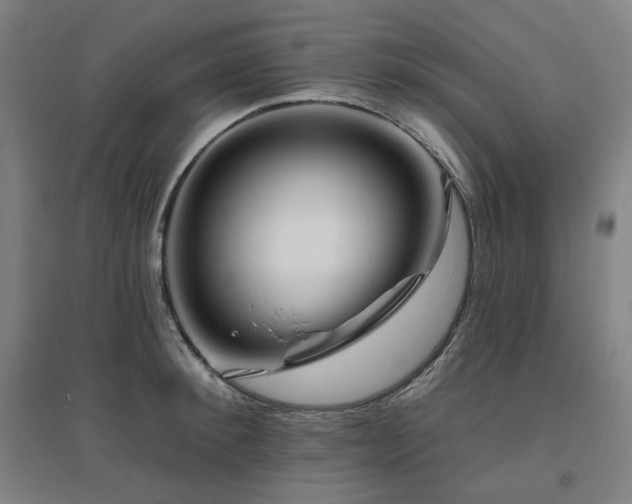 X0000095900900200801111206