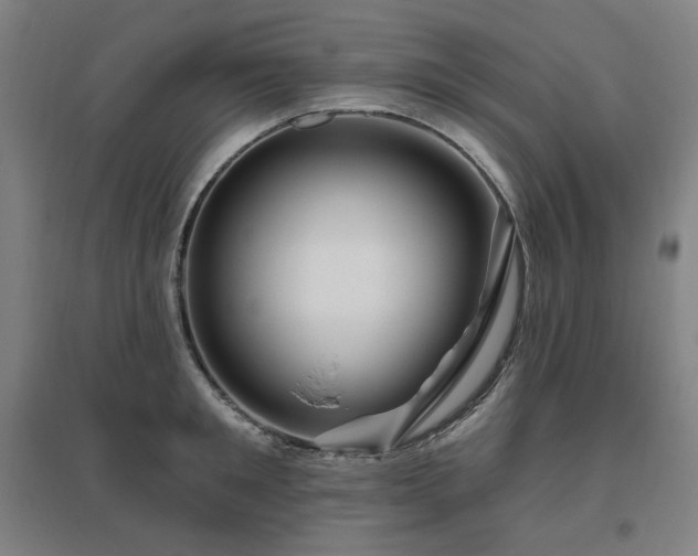 X0000095900901200801111206