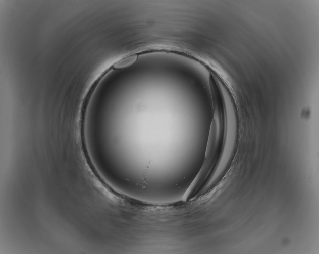 X0000095900902200801111206
